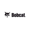 bobcat